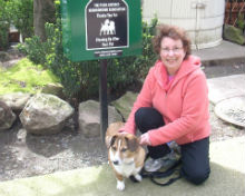 guinny-pet-station